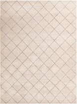 Contemporary NexPattern Area Rug Collection
