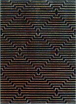 Contemporary NexPattern Area Rug Collection