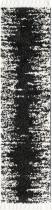 Contemporary Shoulens Area Rug Collection