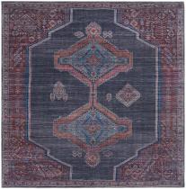 Southwestern/Lodge Aswan Area Rug Collection